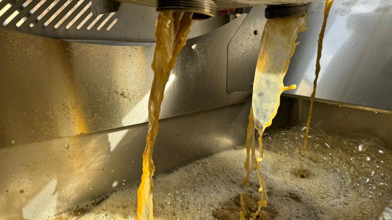 Début des vendanges 2024